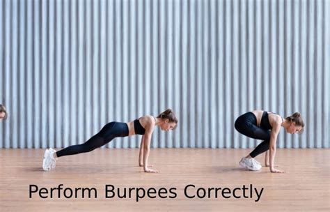 burbe|burpee meaning.